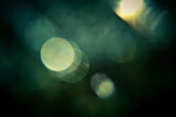 bokeh-1209432_640